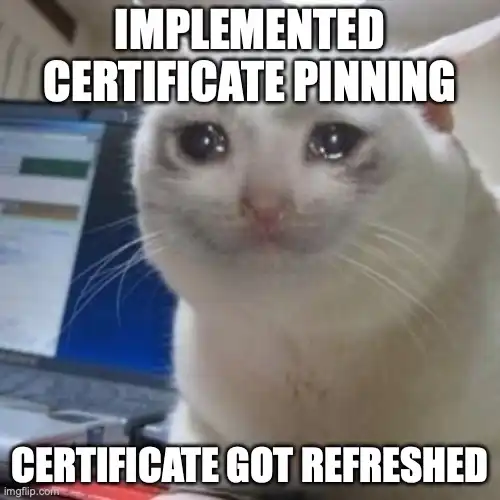 Cat meme about certificate refresh