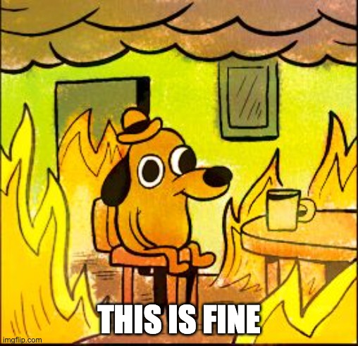 This is fine meme This is fine meme
