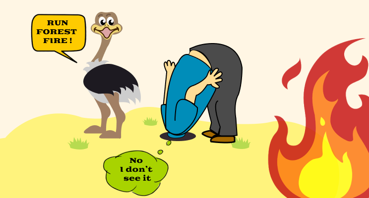 undefined ostrich effect