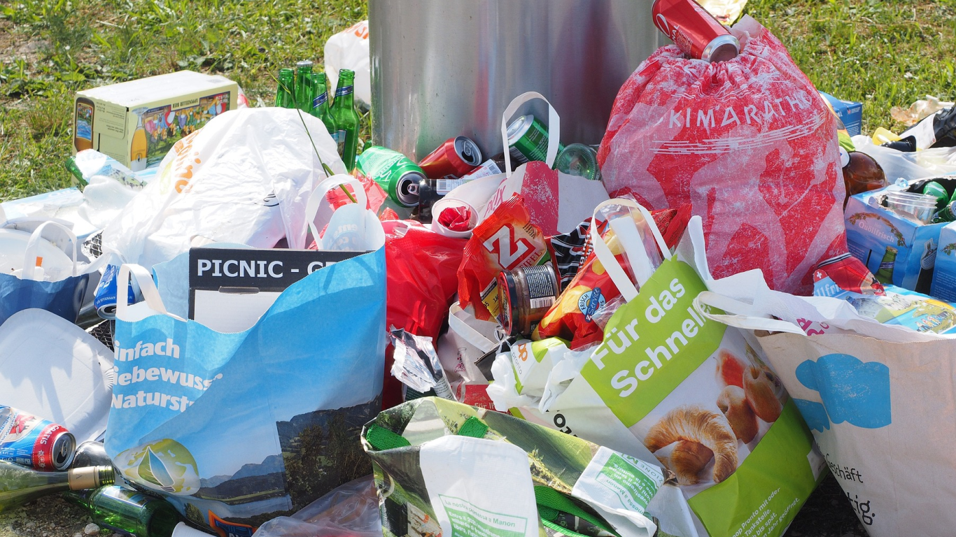 Food and packaging waste
