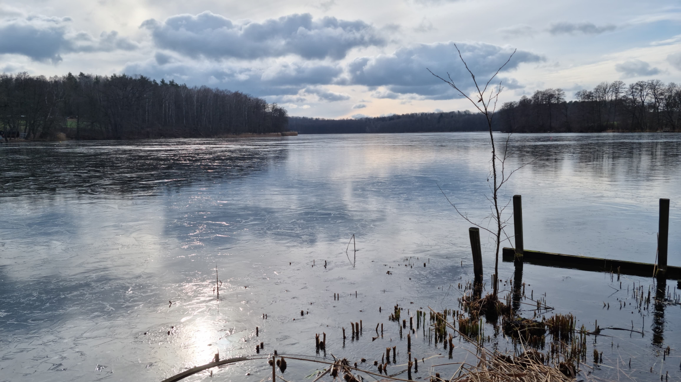 A lake in Wielkopolska voivodeship. Adam’s private archive.