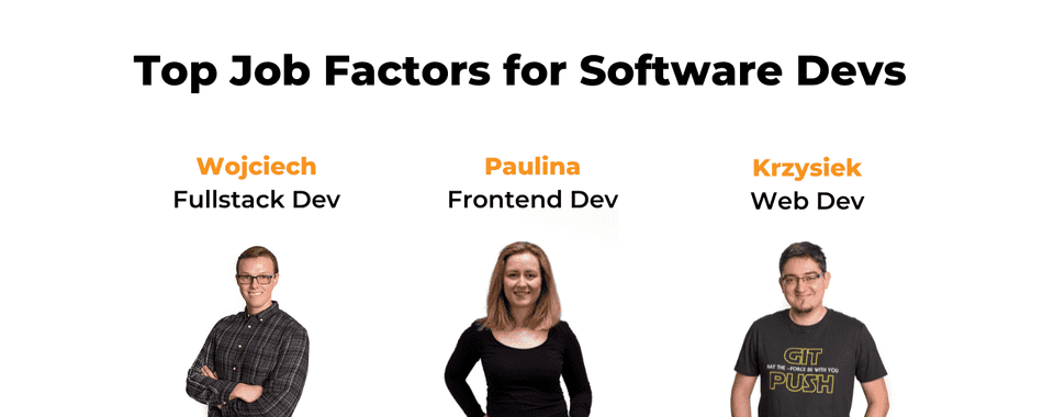 Top Job Factors Software Developer