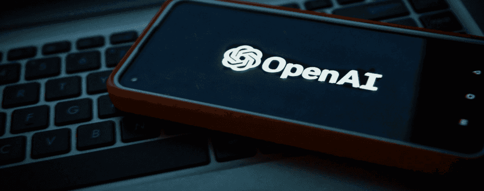 OpenAI privacy