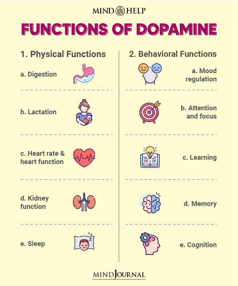 dopamine functions