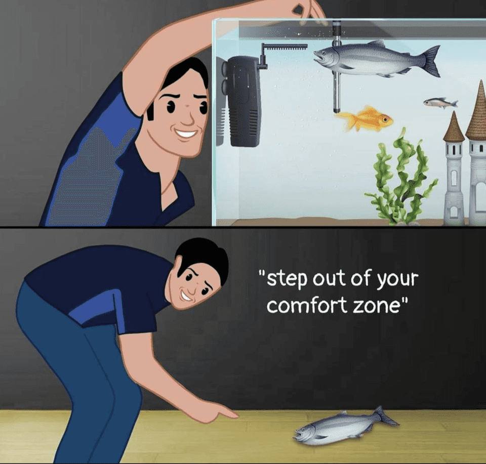 get out of your comfort zone fish